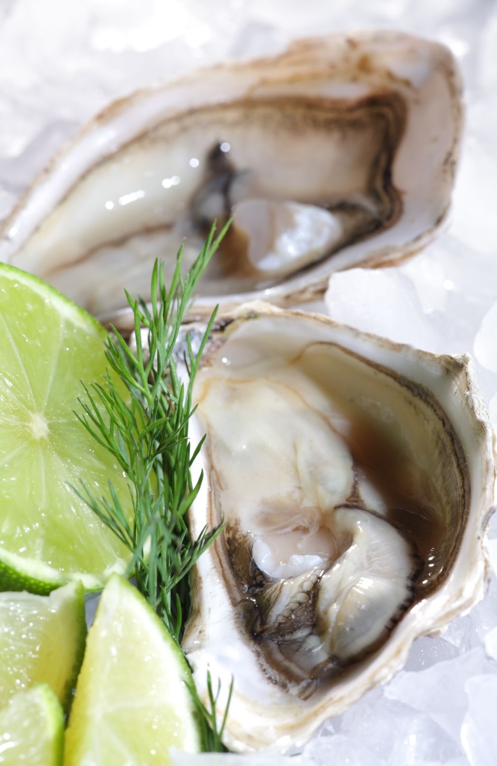 limes and oysters