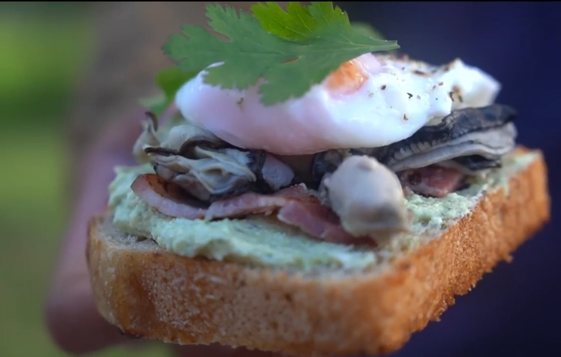 poached oyster breakfast