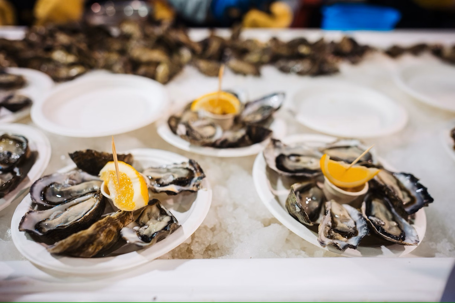 Mahurangi Oysters at Beervana