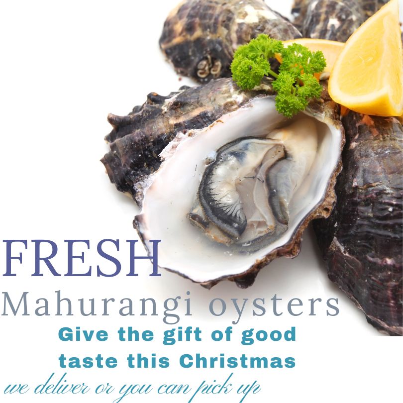 FRESH NZ OYSTERS for Christmas