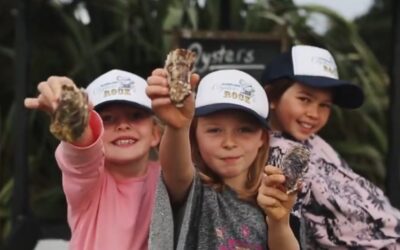 How to shuck oysters